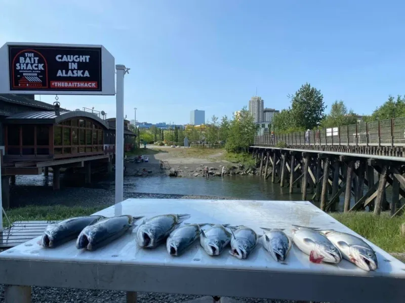 10 Alaska Salmon Shacks With Dockside Charm - Decor Hint The Bait Shack — Anchorage, AK