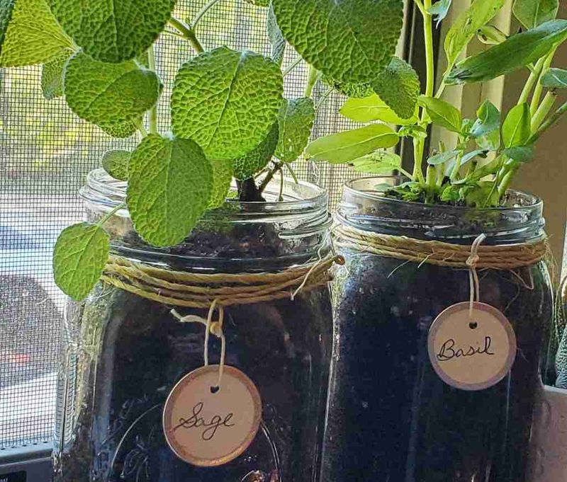 Mason Jar Herb Garden