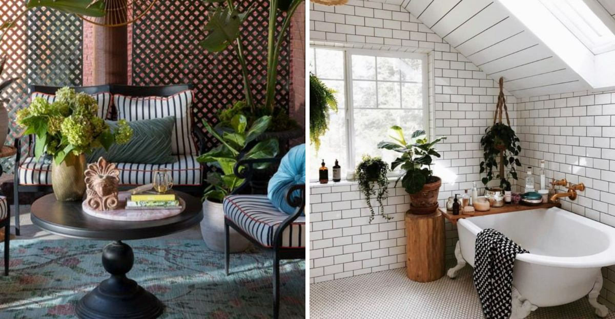 Budget Friendly Plant Decor Ideas Every Georgia Homeowner Will Love - Decor Hint
