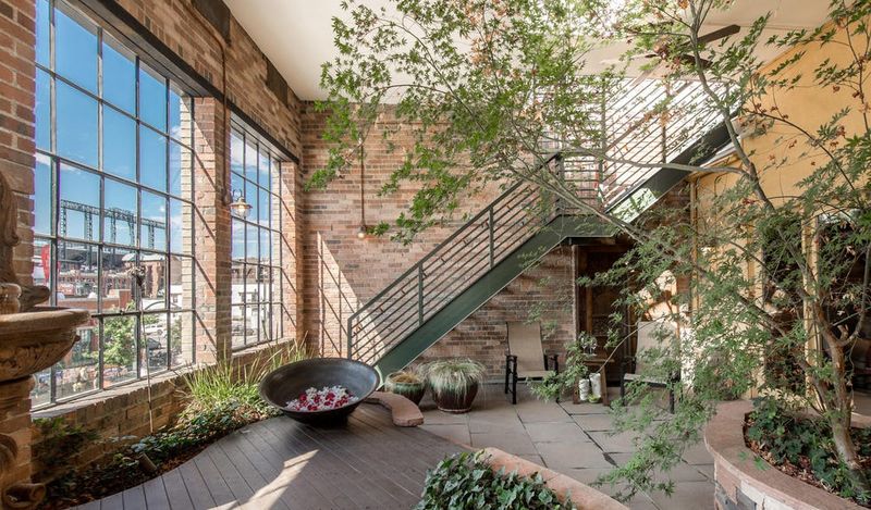 Urban Greenery And Potted Plants For Warmth