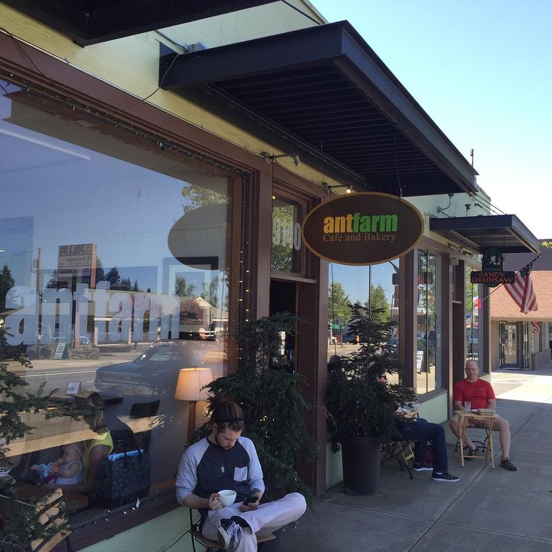 AntFarm Café & Bakery: Youth-Powered Goodness