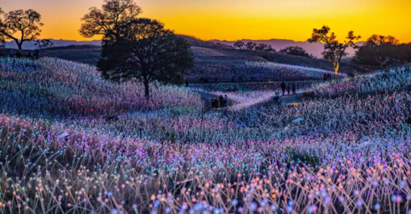 California’s Ultimate Fall Getaway Packed With Festivals And Tasting Events