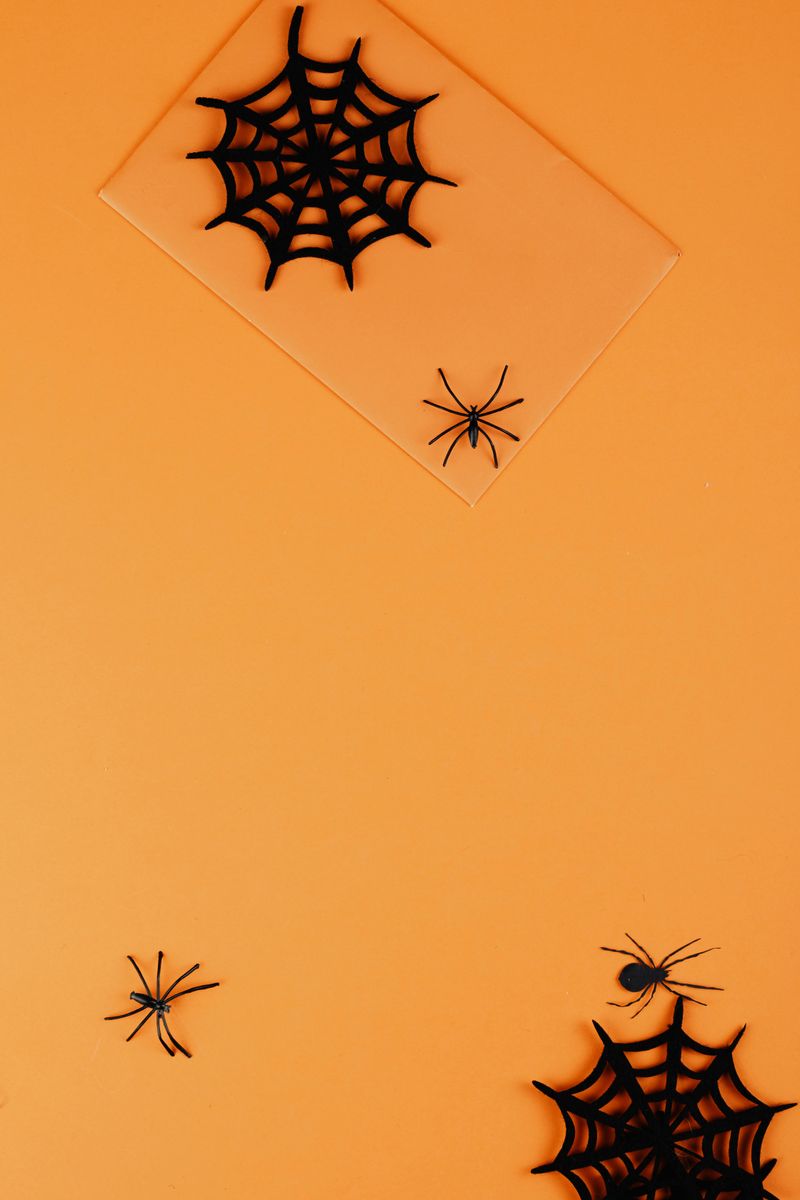 Spider Web Napkin Rings