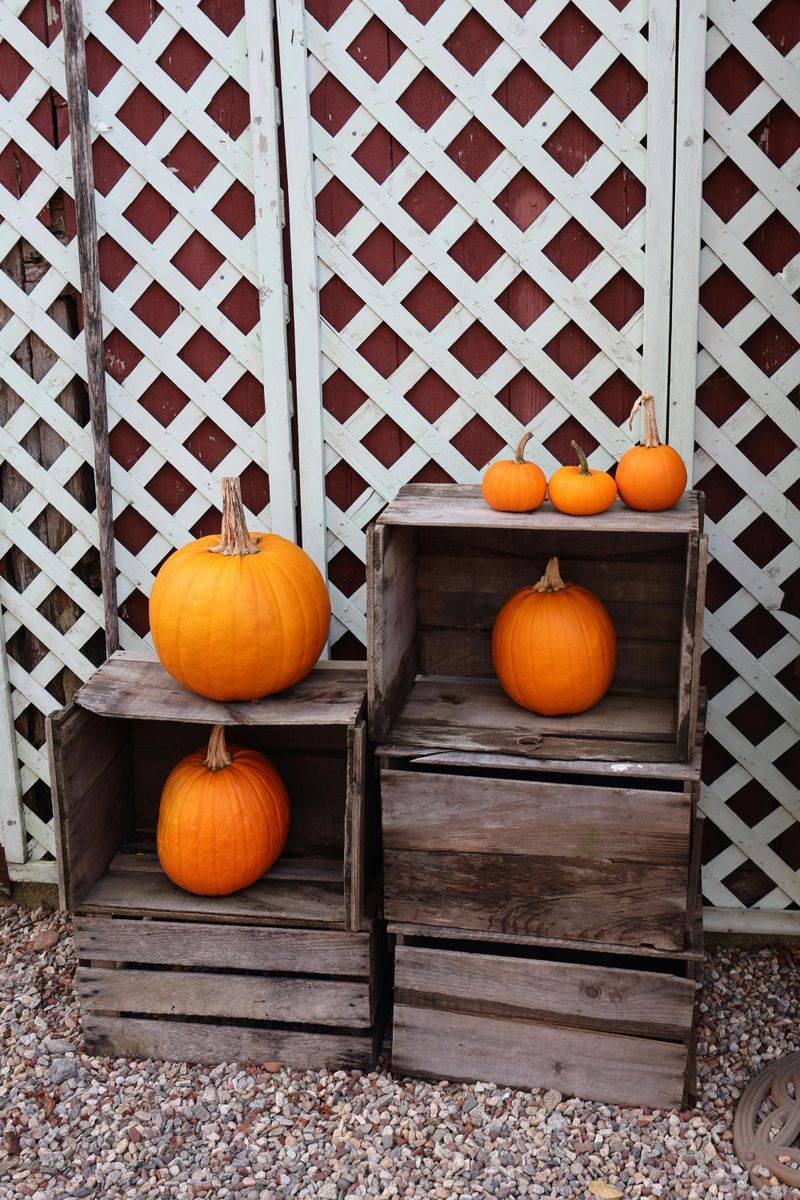 10 Porch Pumpkin Arrangements That Feel Classic Not Cheesy - Decor Hint Wooden Crate Display with Mini Pumpkins