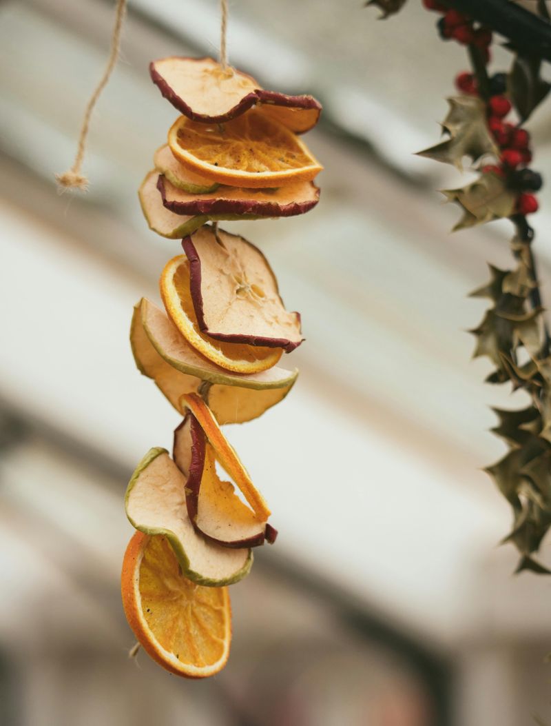 Apple Garland With Dried Slices And Twine
