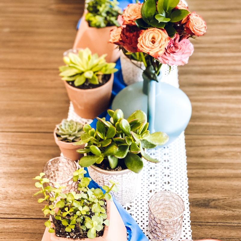 Terracotta Pots: Southwestern Style Statements