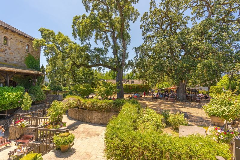 V. Sattui Winery: Picnic Paradise with Gourmet Deli