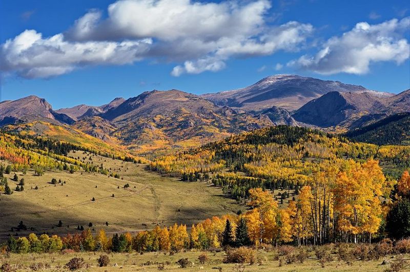Mueller State Park – Wildlife Wonderland On Pikes Peak's Shoulders