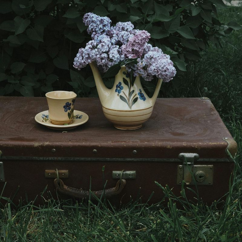 Vintage Suitcases