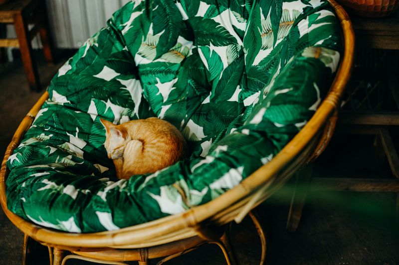 Papasan Chair