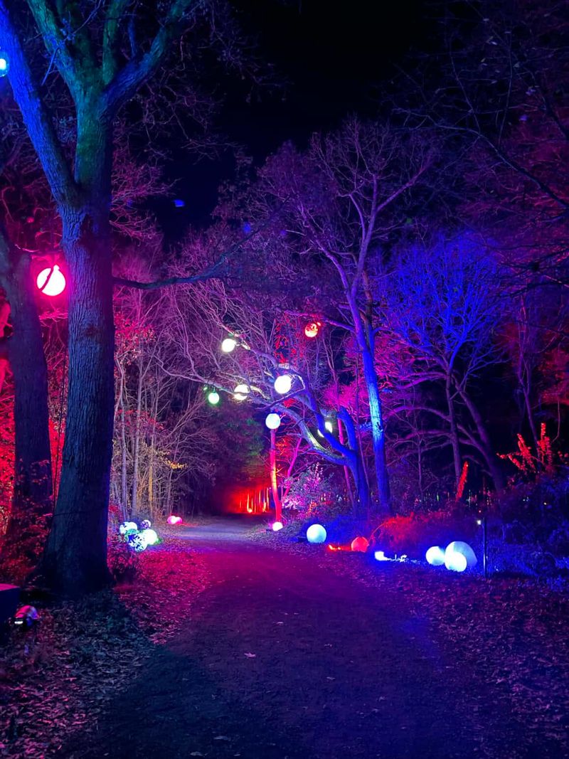 Forest Of Lights At Fair Oaks Farms