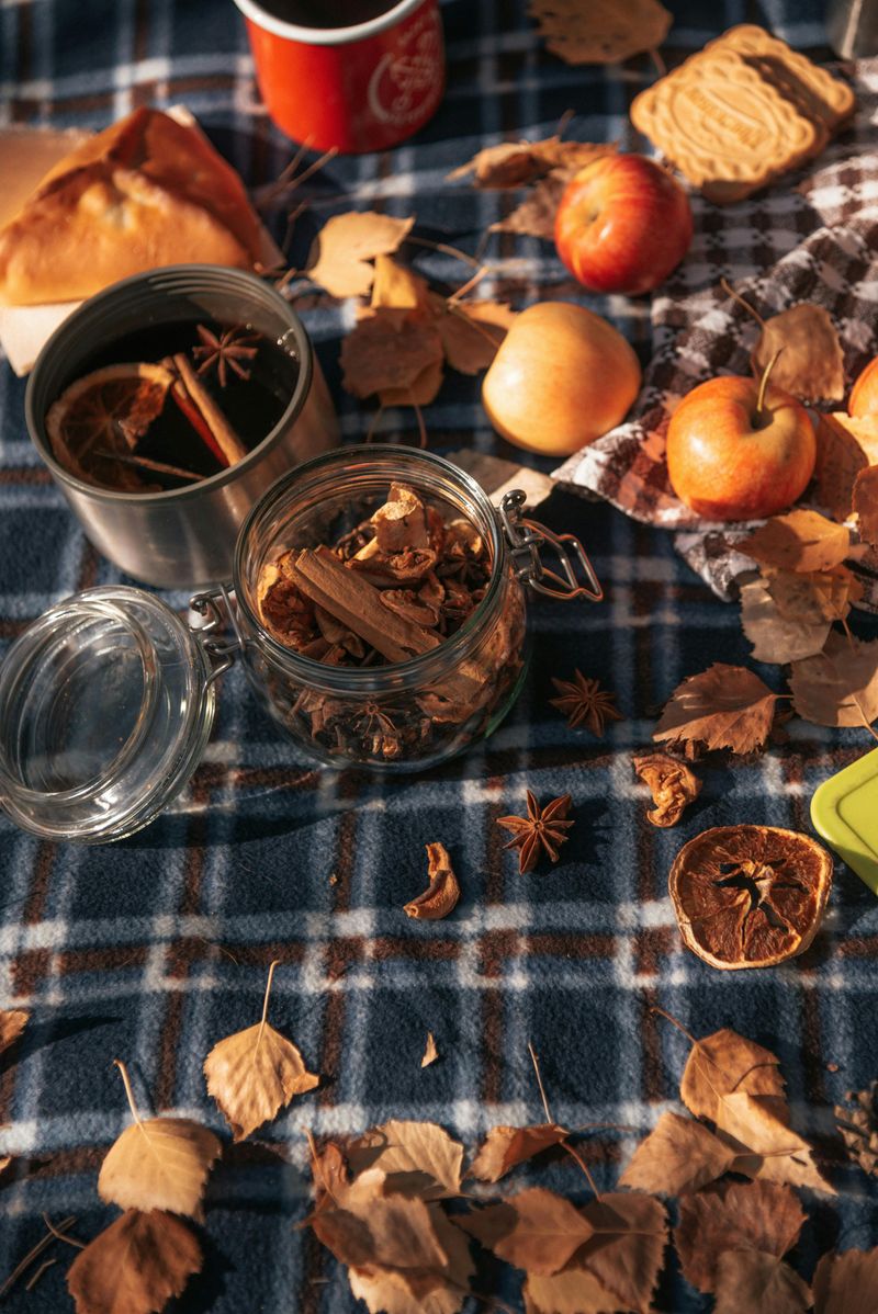 Dried Orange And Spice Garlands
