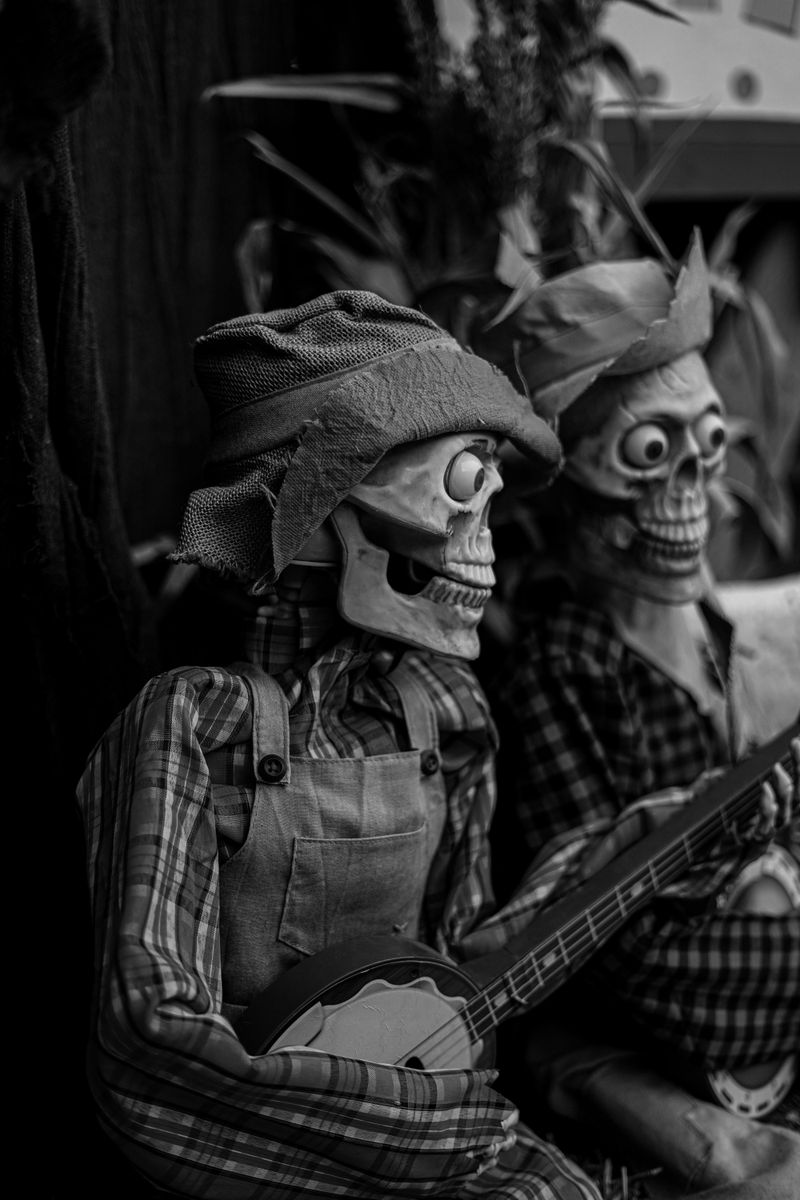 Skeleton Picnic Scene