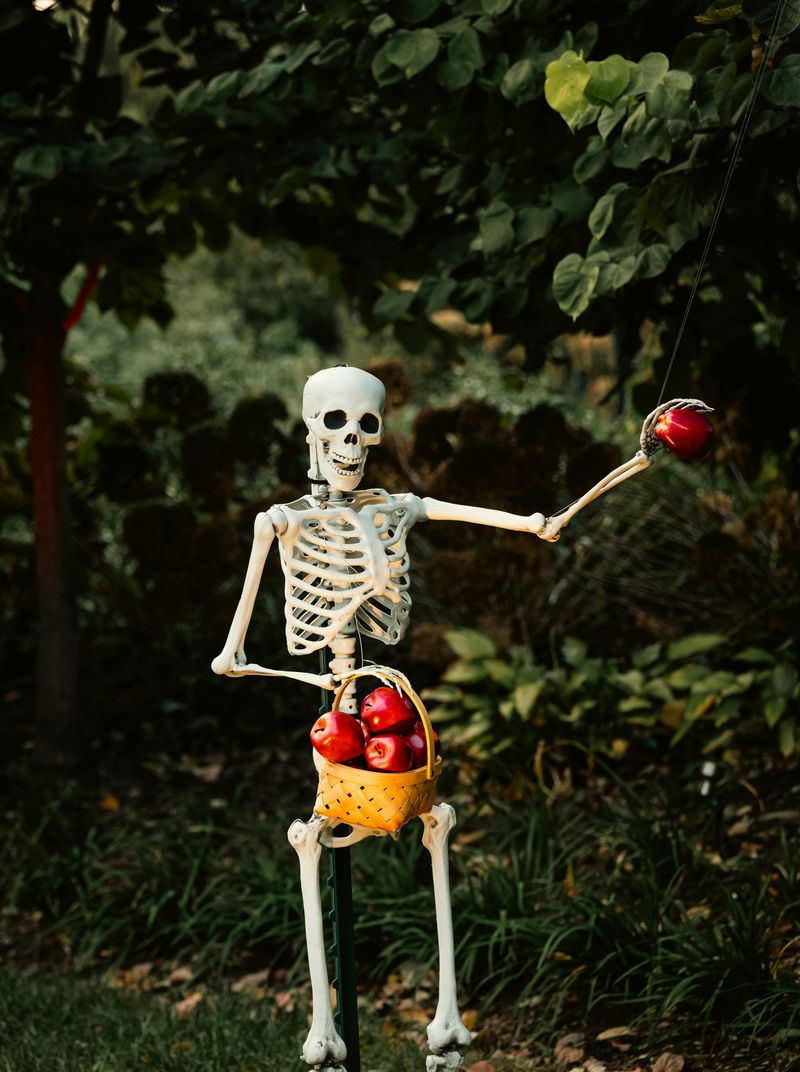 Skeleton Gardener Setup