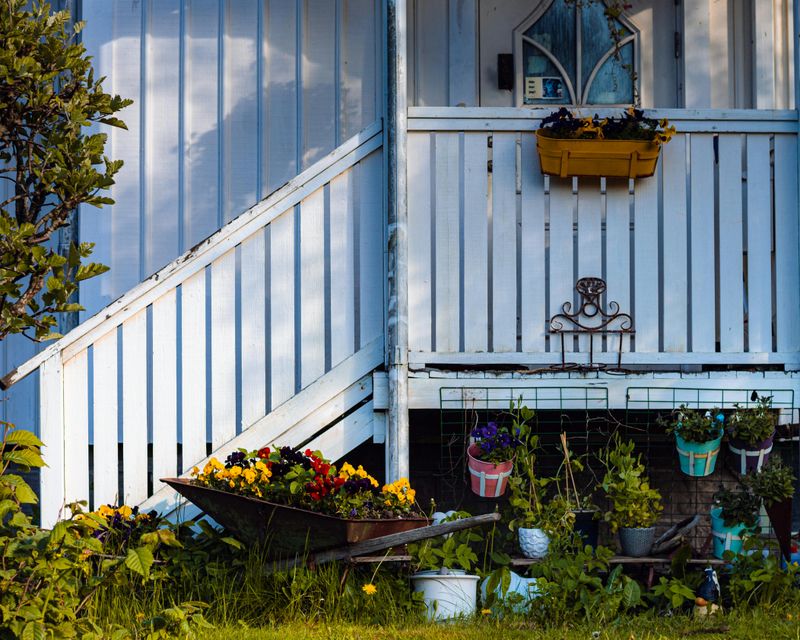 Mismatched Plastic Planters