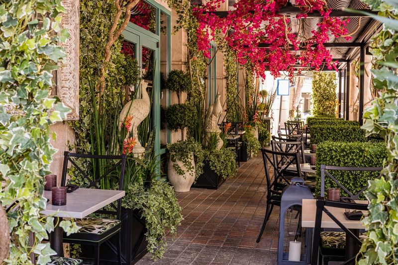 Coral Gables Patio – Mediterranean Splendor in Technicolor
