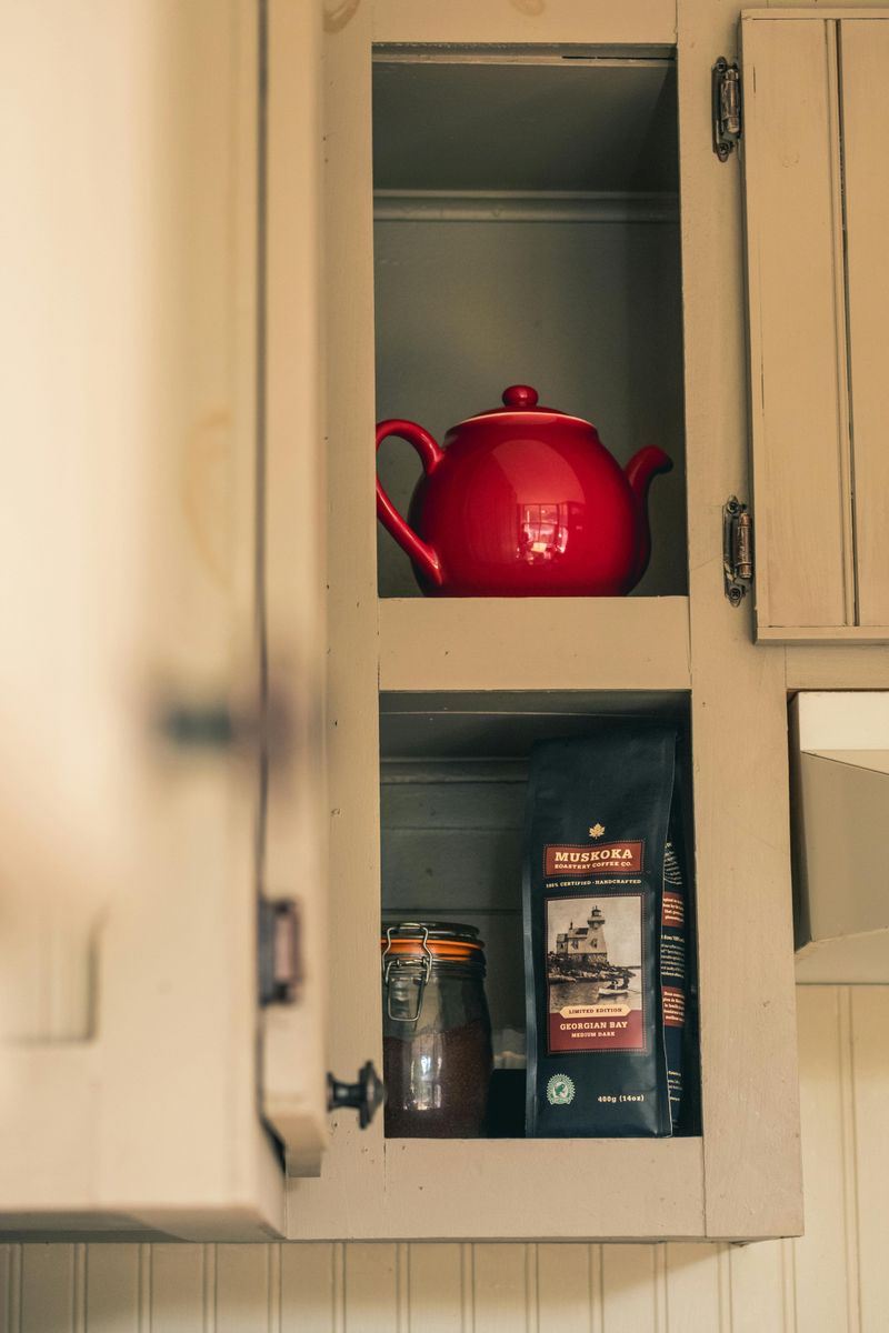 Common Kitchen Cabinet Problems And How To Fix Them - Decor Hint Squeaky Door Hinges