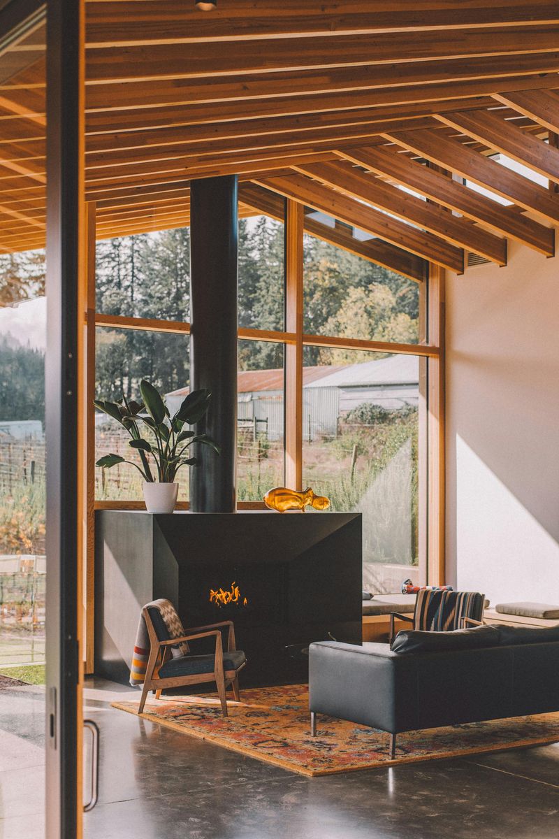 Freestanding Gas Stove Fireplaces