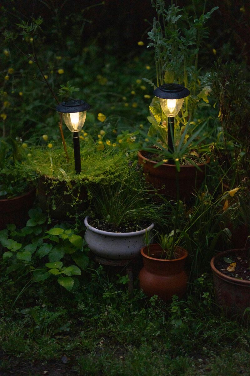 Solar Pathway Lighting