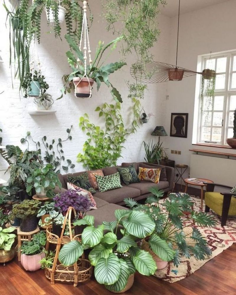 Plant Jungles 