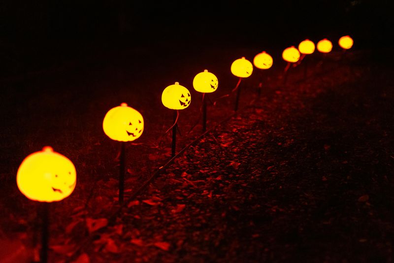 Illuminated Pumpkin Pathway