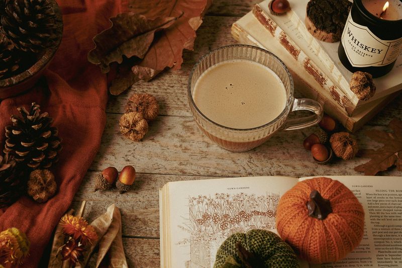 11 Cozy Halloween Decor Ideas That Work All Season Long - Decor Hint Decorative Acorns and Pinecones