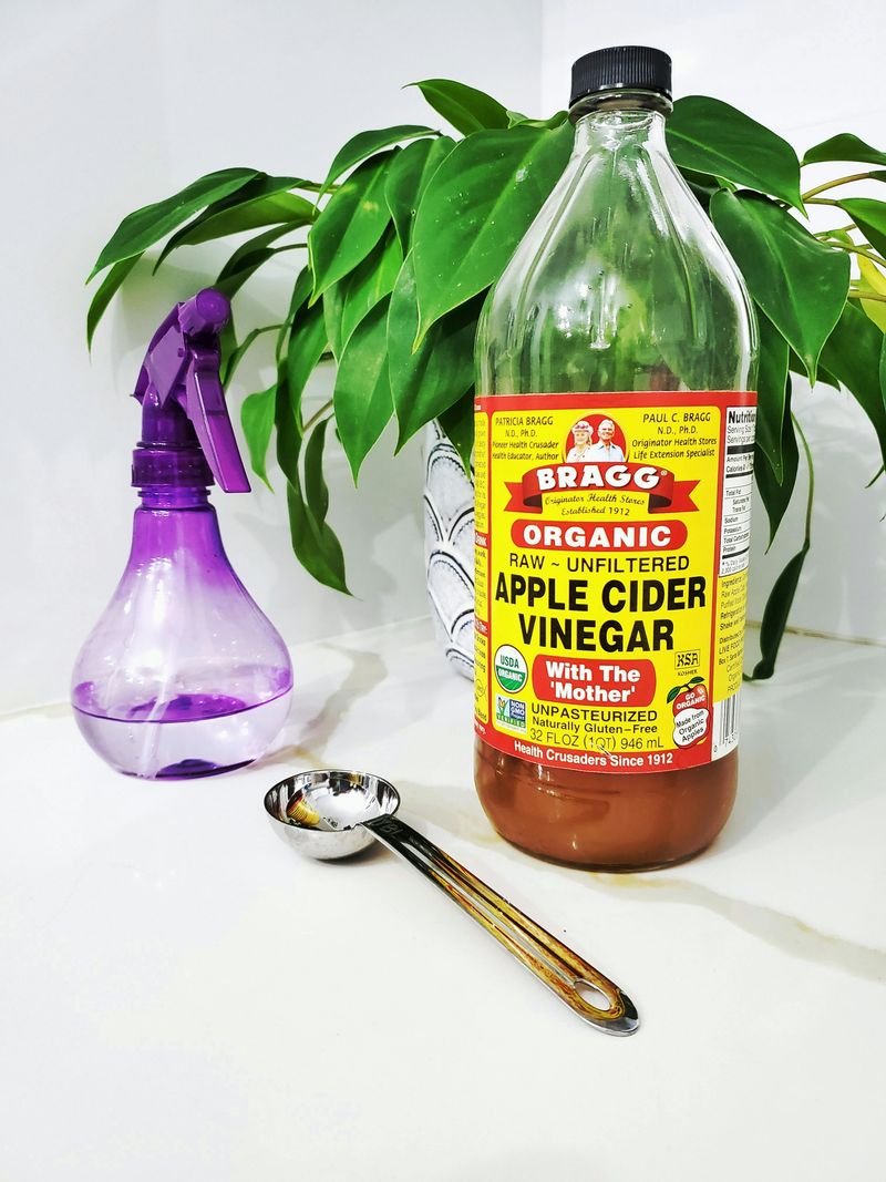 21 DIY Projects That Could Help Reduce Household Costs - Decor Hint Make Homemade Cleaning Supplies