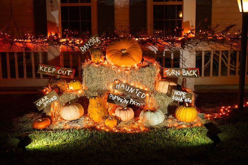 Spooky Pumpkin Patch
