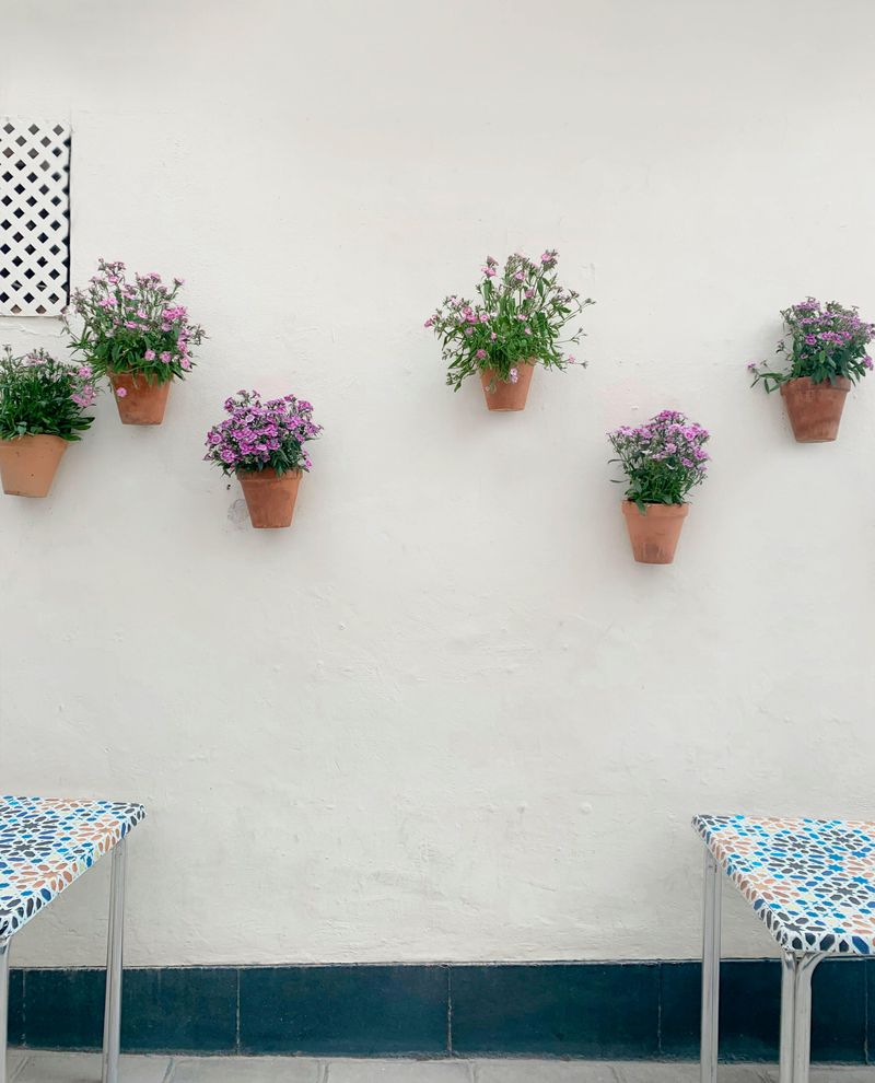 7 Practical Tips To Help You Make Better Use Of Your Outdoor Space - Decor Hint Transform With Strategic Greenery