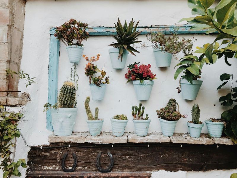 8 Garden Tweaks That Could Improve Indoor Comfort - Decor Hint Add a Vertical Garden