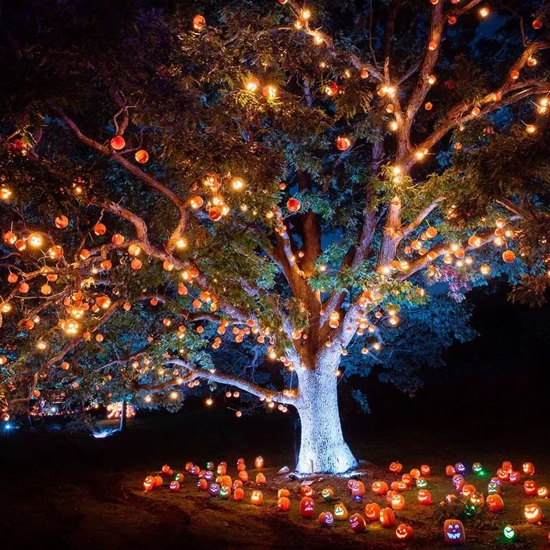 Haunted Tree With Glowing Eyes