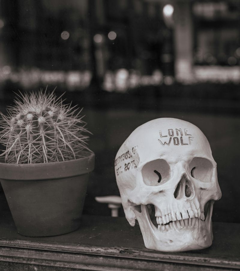 Minimalist Skull Decor
