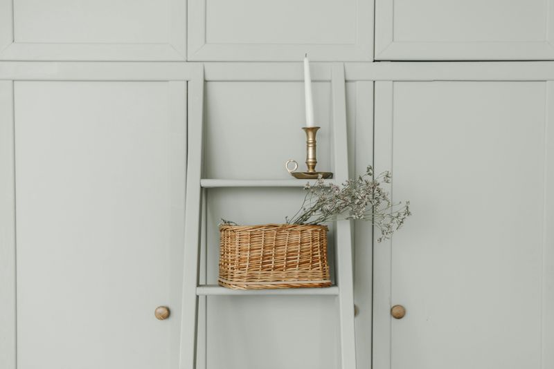 Ladder Shelves: Leaning Into Stylish Storage