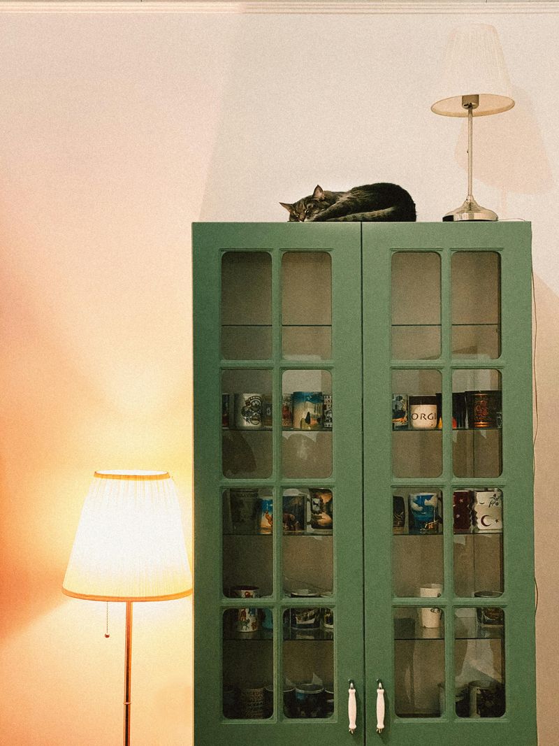 Display Only Everyday Essentials Or Favorites