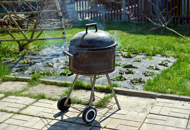 Portable Charcoal Or Gas Grills