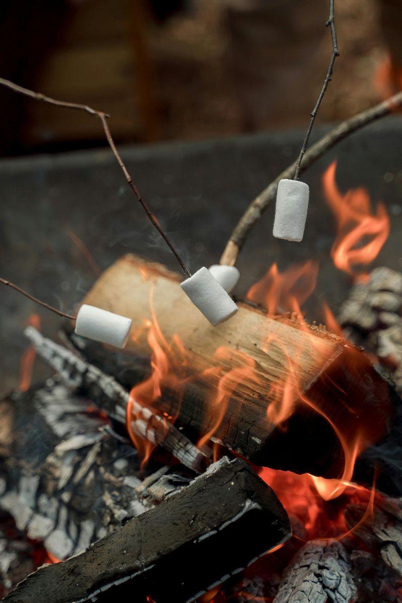 Budget-Friendly Fire Pit Cooking