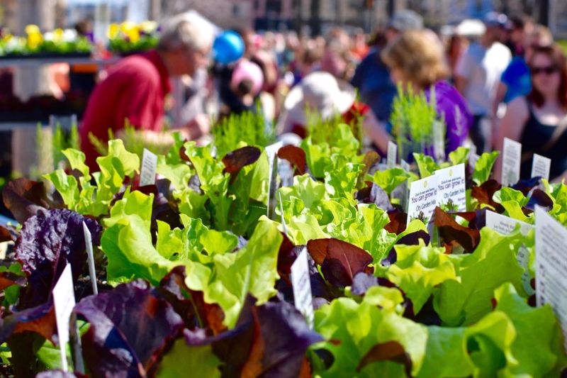 Dane County Farmers' Market - Wednesday Market