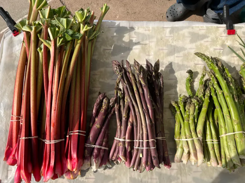 Eastside Farmers' Market (McPike Park)