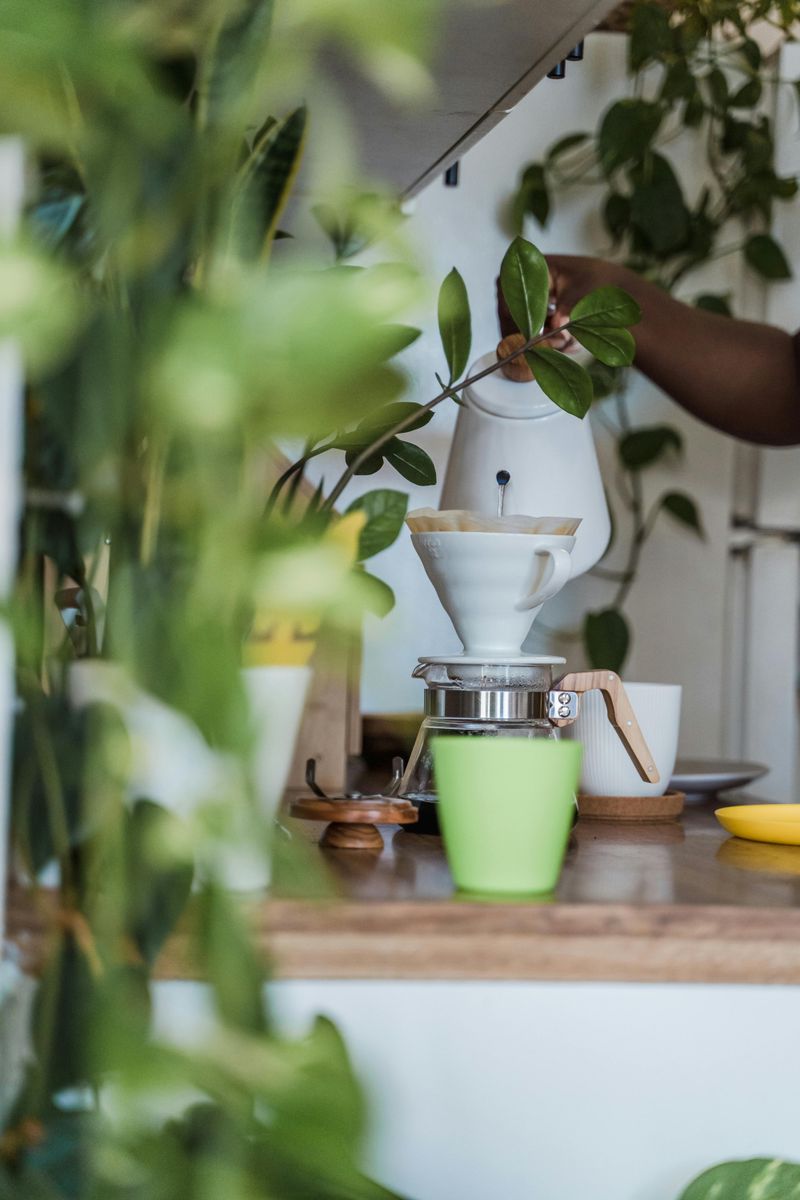 12 Cost-Effective Ways That Might Improve Your Kitchen And Add Value - Decor Hint Green Updates: Eco-Friendly and Cost-Saving Changes