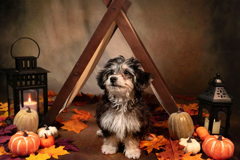 11 Cozy Halloween Decor Ideas That Work All Season Long - Decor Hint Candle Lanterns