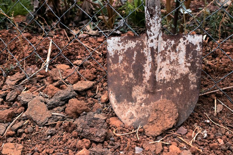 Rustic Garden Tools