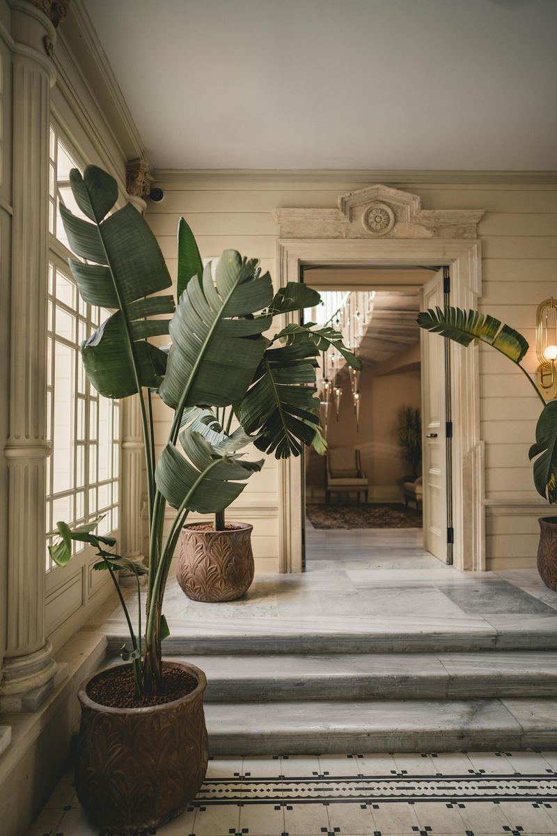 20 Decorations That Can Make Your Home Feel Classier - Decor Hint Ornamental Floor Vase