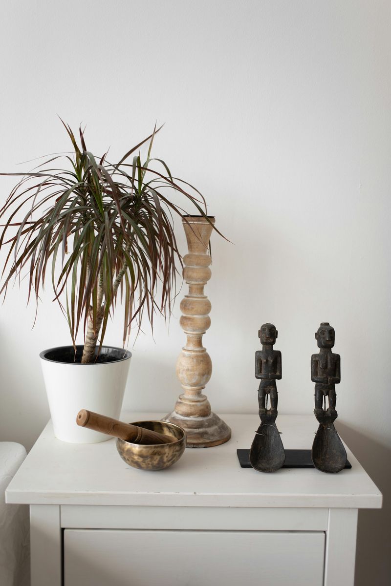 11 Things You Might Buy That Could Make Your Home Less Tidy - Decor Hint Decorative Figurines