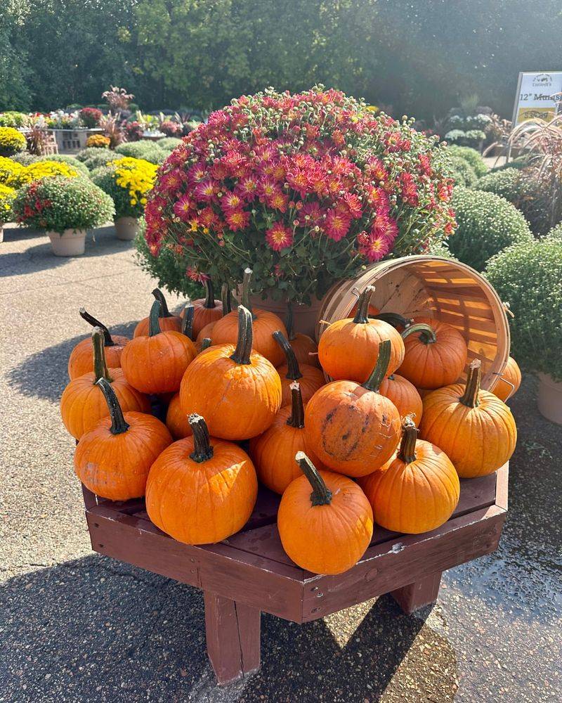 Untiedt's Vegetable Farm in Waverly