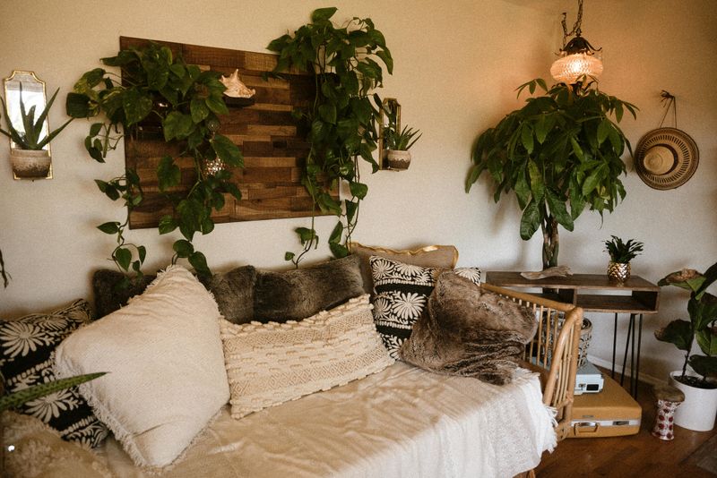 Perfect The Plant Jungle Vibe