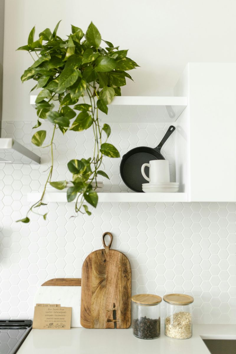 5 Ideas That May Make Kitchen Shelves Look Higher-End, Based On Designer Advice - Decor Hint Style Shelves Like Bookshelves