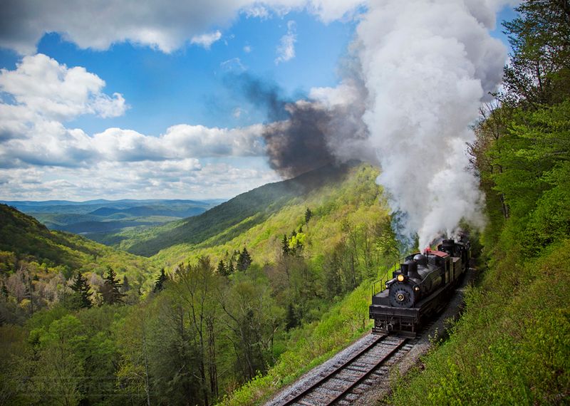Mountain Rail Adventures' Cheat Mountain Salamander