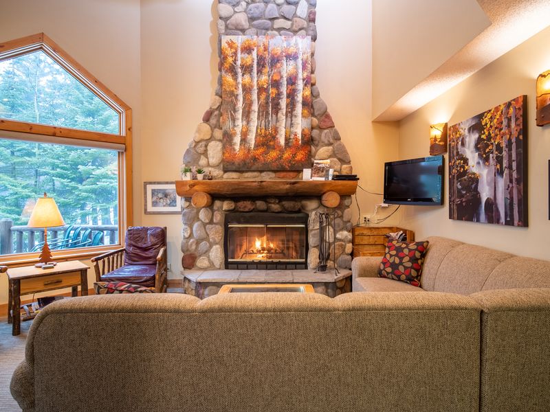 12 Minnesota Cabin Living Rooms Built For Snowy Nights - Decor Hint Nordic Ski Chalet Charm