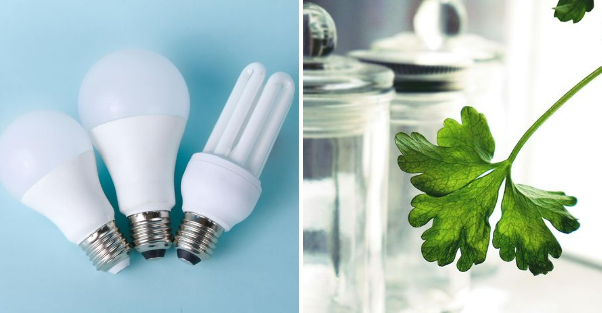 Eco Friendly Home Ideas That Could Help Save Money - Decor Hint