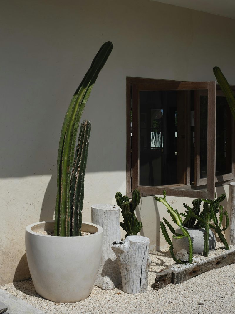 Select Plants with Purpose